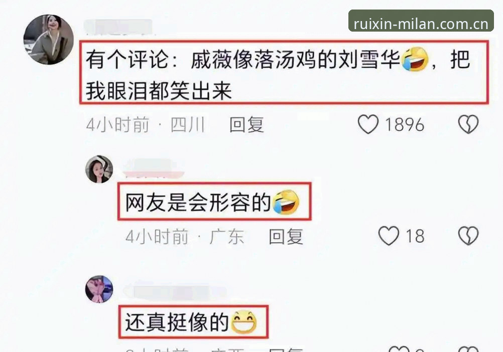 贵趣APP米兰官网哪个好 揭秘贵趣APP米兰官网选择逻辑:两个版本背后,藏着90%用户不知道的数据差